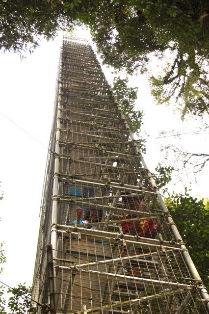 DSC_4407.JPG